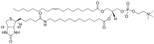 18:1-12:0 Biotin PC 860563C-1MG