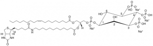 18:1-12:0 Biotin PIP3 
