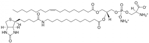 18:1-12:0 Biotin PS 860560P-1MG