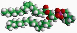 18:1-18:0 PC 850476C-25MG