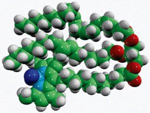 18:1-18:1-C11 TopFluor TG 810298C-1MG
