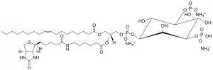 18:1-6:0 Biotin PI(3,5)P2 