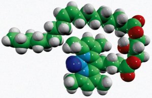 18:1-C4 TopFluor DG 810294C-1MG
