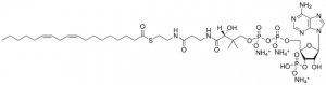 18:2 (n6) Coenzyme A 870736P-5MG