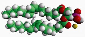 18:2 PA 840885C-25MG