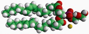 18:2 PG 840485C-25MG