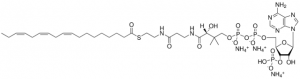 18:3 (n3) Coenzyme A 870732P-5MG