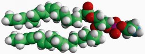18:3 PE 850795C-25MG