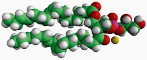 18:3 PG 840487C-25MG
