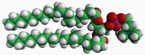 19:0 PC 850367C-25MG