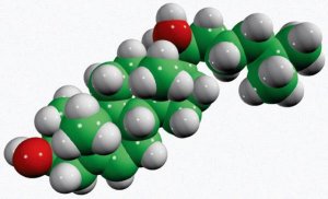 20-hydroxycholesterol 