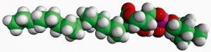 20:0 Lyso PC 855777C-25MG