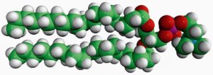 20:0 PC 850368C-25MG