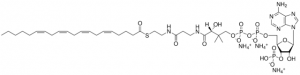 20:4 Coenzyme A 870721P-5MG
