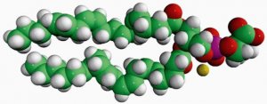 20:4 PS 840066C-25MG