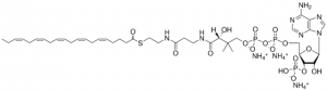 20:5 Coenzyme A 870744P-5MG