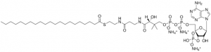 21:0 Coenzyme A 870739P-5MG