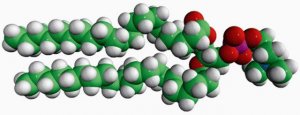 21:0 PC 850370C-25MG
