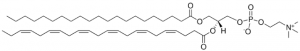 21:0-22:6 PC LM1003-1EA