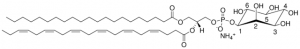 21:0-22:6 PI LM1503-1EA