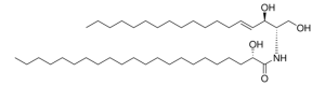 22:0(2S-OH) Ceramide 860822P-5MG