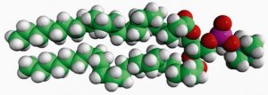 23:0 PC 850372P-25MG