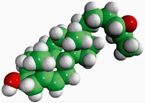 24(R/S),25-epoxycholesterol 700037P-1MG