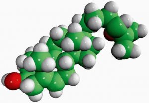 24(S),25-epoxycholesterol 