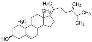 24-Methylene cholesterol 