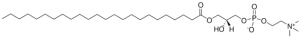 24:0 Lyso PC 855800P-25MG