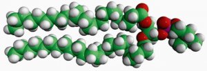 24:0 PC 850373C-25MG