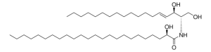 24:0(2R-OH) Ceramide 860823P-5MG