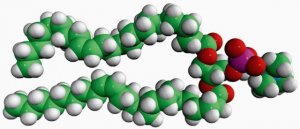 24:1 (Cis) PC 850399C-25MG