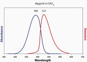 25-NBD Cholesterol 