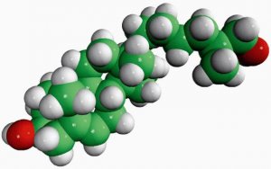 27-hydroxycholesterol 