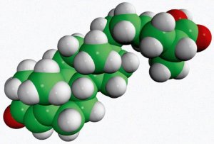 3-oxo-4-cholestenoic acid 700083P-1MG