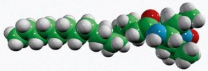 4-palmitamido-TEMPO 810610P-1MG