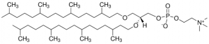 4ME 16:0 Diether PC 999984P-10MG