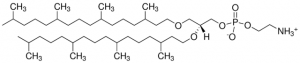 4ME 16:0 Diether PE 999985C-10MG