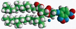 4ME 16:0 NBD PE (NBD-DPhPE) 810142P-1MG