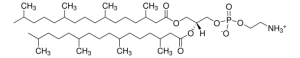 4ME 16:0 PE 850402P-25MG