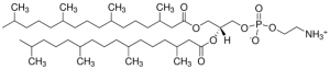 4ME 16:0 PE 850402C-25MG