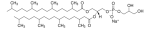 4ME 16:0 PG 850404C-25MG