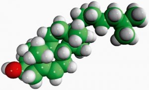 5,6-epoxycholestanol 700032P-5MG