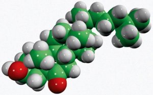 6-keto-5-hydroxycholesterol 700140P-5MG