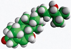 7,24(S)-dihydroxy-4-cholesten-3-one 700098P-1MG