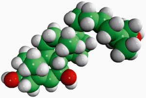 7,27-dihydroxycholesterol 700025P-1MG