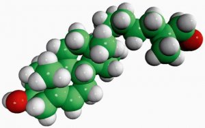 7,27-dihydroxycholesterol 700024P-1MG