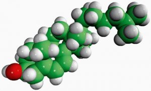 7-dehydrocholesterol 700066P-5MG