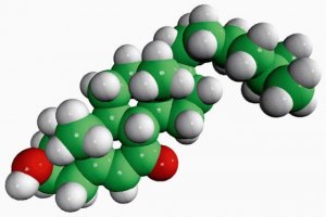 7-keto-27-hydroxycholesterol 700022P-1MG